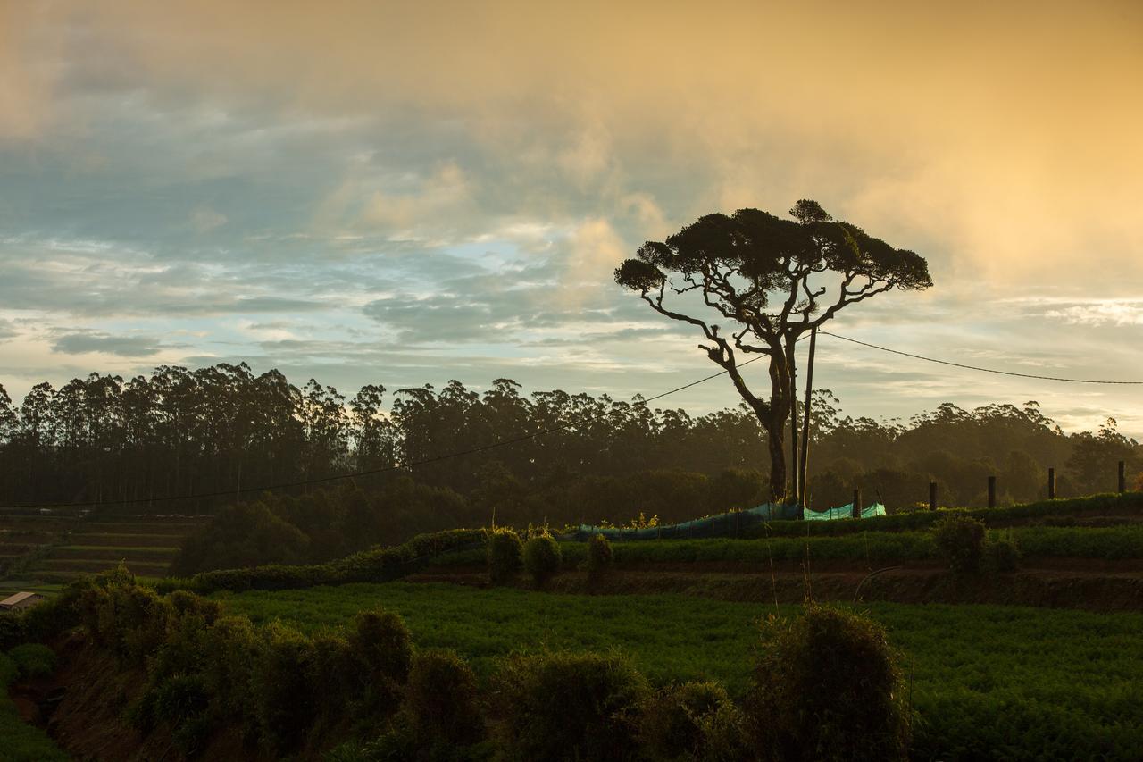 Grand Camellia Hotel Nuwara Eliya Bagian luar foto